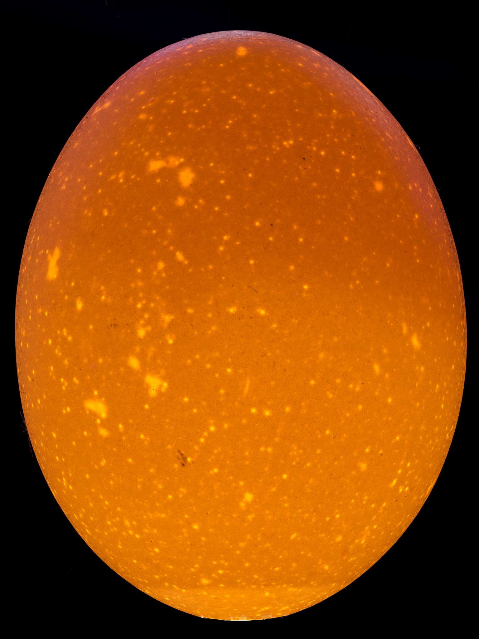 Glowing Egg